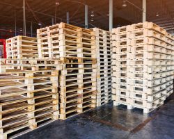 Worker driving forklift to loading wooden pallets from truck to warehouse cargo storage, shipment in logistics and transportation industrial, wood pallets stack, delivery service